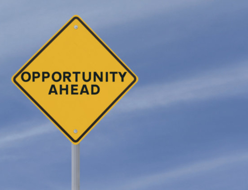 What Opportunities Can You Create to Adapt to Changes in Business?